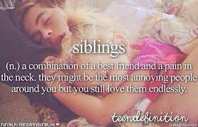 #383 introvert quotes with images read also: I Cant Help It They Might Be Pains In The Neck All The Time But Im Still Their Big Brother Always Gonna Protect Sister Quotes Sibling Quotes Brother Quotes