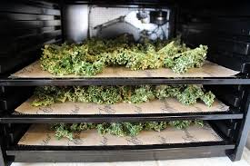 Résultat de recherche d'images pour "dehydrator"