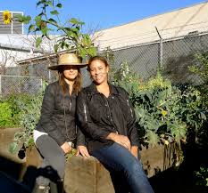Jeanette marantos began writing for the los angeles times' homicide report in 2015 and the saturday. Edible Gardens La Creating School Gardens That Delight And Inspire Kids Beyond The Brochure