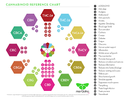 Educational Brochures And Reference Charts