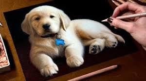 Also, find out if your kid is one of this week's spotlights! How To Draw A Labrador Golden Retriever Puppy Easy Kidztube