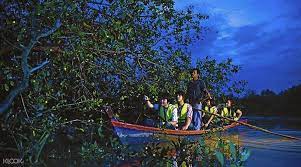 Baru nak turun jeti dah terserempak dengan sang kapal selam peronda lalu pulak. Kuala Selangor Fireflies Tour Price 2021 Promotions Online Discounts