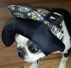 Pin On Mission Pawsable K 9 Apparel By Lena