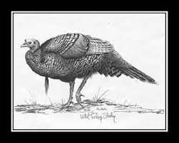 Feb 05, 2021 · a. 31 Woodburning Turkey Ideas Turkey Drawing Turkey Coloring Pages Wild Turkey