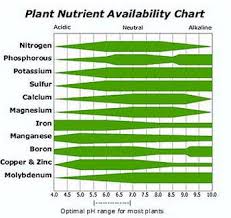 Plant Nutrient Availability Chart Download Scientific Diagram