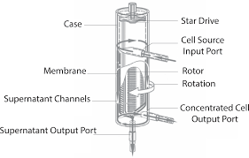 Cell Washing With The Lovo Cell Processing Systembioprocess International