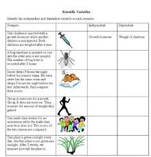 Pin On Tpt Science