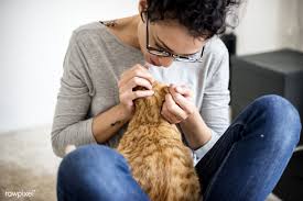 Download Premium Photo Of Woman Petting A Cat In A Living Room 296202 Pets Cats Pets Cats