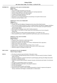 Speech Language Resume Samples Velvet Jobs