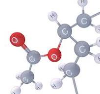 VINNAPAS® vinyl acetate co- and terpolymer dispersions ...