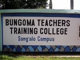 Domestika is the largest community for creative professionals. P1 Teachers College Admission Requirements Tsc Requirements And All You Need To Know Teacher Co Ke