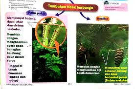 Tingkatan 2 Bab 2 Biodiversiti Brain Genius Mastery Mathematic Facebook