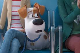 Maybe you would like to learn more about one of these? The Secret Life Of Pets 2 Best Quotes