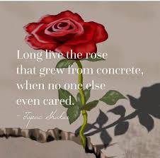 Pin By Ruby Te On Quotes Aesthetic Iphone Wallpaper Rose Every Rose
