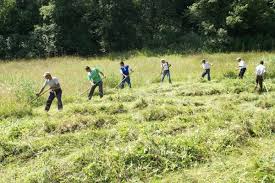 Maybe you would like to learn more about one of these? Itm Maramures