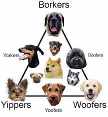 borker yippers woofers doggo know your meme