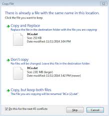 The download is just 4 files. 20xx Netplay Guide By Cell