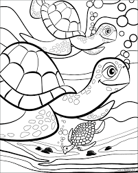 Coloring Pages Sea Life Cute Coloring Pages Summer Coloring Pages Turtle Coloring Pages