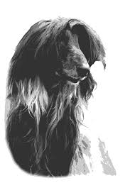 Maybe you would like to learn more about one of these? Afganistan Kynhgoskylo Skylos Dwrean Eikona Sto Pixabay