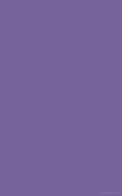 See more ideas about purple wallpaper, purple, phone wallpaper. Wallpaper Plain Violet Solid Color One Colour Single 756395 1600x2560