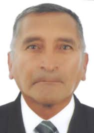 Ingresos de Otorongos Elecciones 2022