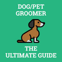 How often should you take a dog to a groomer? How To Become A Dog Pet Groomer Career Salary Training 2021 Updated