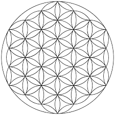 • pflanzen gedeihen besser mit spritzwasser, das von der blume des lebens aktiviert wurde. Blume Des Lebens Wikipedia