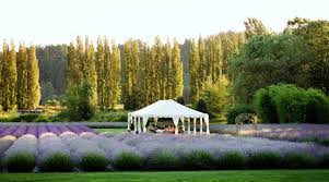 Small Wedding Venues That Are Super Gorgeous Wedding Venues Washington State Washington Wedding Venues Smallest Wedding Venue
