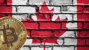 You can buy other major cryptocurrencies with canadian dollars such as ethereum, litecoin, and bitcoin cash on bitbuy, but there are many more out there that can't be bought with fiat currency due to their small nature. How To Buy Bitcoin In Canada Crypto Economy