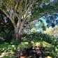 Guided Walking Meditation event image