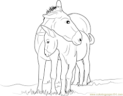 Select from 35970 printable crafts of cartoons, nature, animals, bible and many more. Mother And Baby Donkey Coloring Page For Kids Free Donkey Printable Coloring Pages Online For Kids Coloringpages101 Com Coloring Pages For Kids