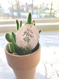 Set Of Wedding Favor Tags Let Love Grow Tags Personalized Etsy Succulent Favors Wedding Favor Tags Favor Tags