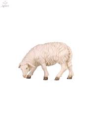 The flesh of the first geology and geography of arabia the traveling camel brings some of the most interesting interior designs you'll find in animal crossing: Esel 6 Cm Natur 8 40