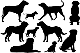 Free Free 198 Mountain Dog Svg SVG PNG EPS DXF File