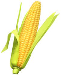 Corn Png Clipart The Best Png Clipart Corn Vegetable Illustration Food Clipart