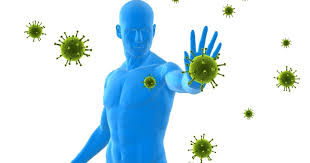 Sistema imunológico: o que é, resumo e imunidade - Toda Matéria
