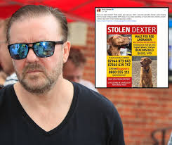 Check spelling or type a new query. Ricky Gervais Helps Family In Desperate Search For Their Stolen Dog Dexter Bucks Free Press