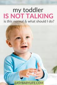 Even slight hearing impairments can cause difficulties with speech and language development. What If A 21 Month Old Toddler Is Not Talking Toddler Speech Toddler Milestones Toddler Development