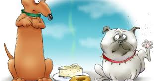 Dog Diet They Say That French Poodles Are Fond Of Egg Noodles And Dachshunds Love Limburger Cheese Dachshund Illustration Dachshund Sketch Dachshund Art