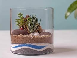 Berikut lima rekomendasi tanaman untuk meja kerjamu. Tips Dan Trik Membuat Terarium Cantik Untuk Dekorasi Rumah Arsitag