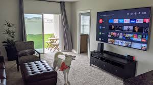 Orlando jones will not appear in american gods season 3. I Picked Up Sony S 85 Bravia X900h 4k Hdr 120hz Tv And The Xbox Series X Looks Stunning On It Gaming On Such A Large Tv Is Pretty Awesome And A Bit