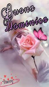 Pin Di Mariella Orsi Su Buona Domenica Nel 2021 Buona Domenica Buongiorno Sabato Auguri Di Buona Notte