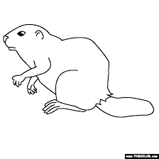 The free beaver coloring pages also available in pdf file. Beaver Coloring Page