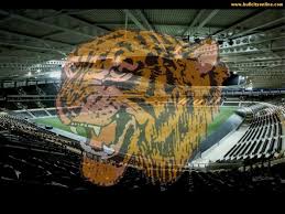 May 25, 2021 · acun ilıcalı'nın satın almak için görüşmeler yaptığı takım hull city. Hull City Tigers Home Facebook