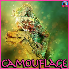 Camouflage Animal Adaptations Powerpoint And Activities Learn All About Camouflage With This Dynamic And Anim Animal Adaptations Adaptations Animal Lessons