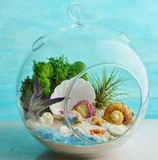 Mermaid Beach Terrarium Kit 7 Air Plant Terrarium Kit Etsy Terrariums Kits Air Plant Terrarium Fairy Garden Accessories