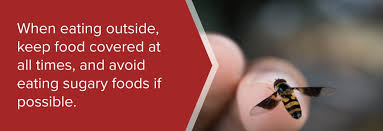 When wasps swarm, the situation can be dangerous because wasps are stinging insects that become aggressive very quickly. Guide To Bees Wasps Hornets Spectrum Pest Control Spectrum Pest Control