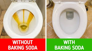 This will remove all the dog hairs. 10 Ways To Keep Your Bathroom Smelling Great Without Using An Air Freshener