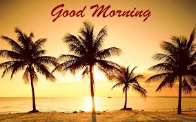 Good Morning Palm Beach Hd Wallpaper Good Morning At The Beach 1440x900 Wallpaper Teahub Io …with a story to read 💕. good morning palm beach hd wallpaper