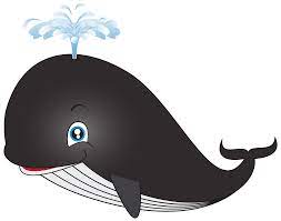 Related Image Cartoon Whale Whale Art Whale Pictures